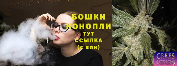 твердый Абаза
